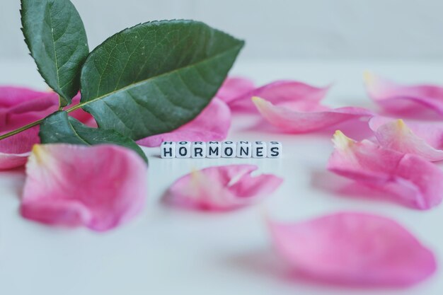 Hormone harmony- Balancing your hormones naturally